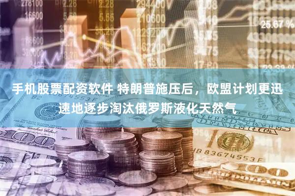 手机股票配资软件 特朗普施压后，欧盟计划更迅速地逐步淘汰俄罗斯液化天然气