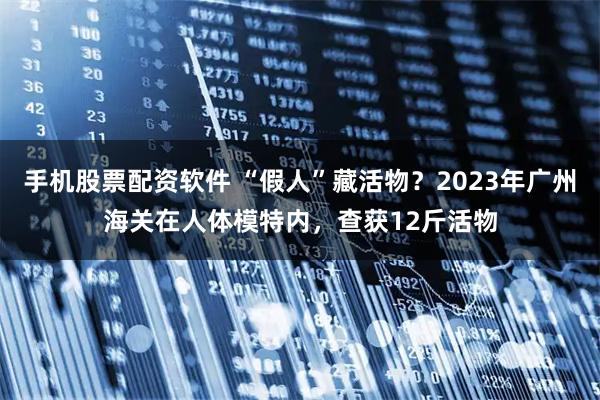 手机股票配资软件 “假人”藏活物？2023年广州海关在人体模特内，查获12斤活物